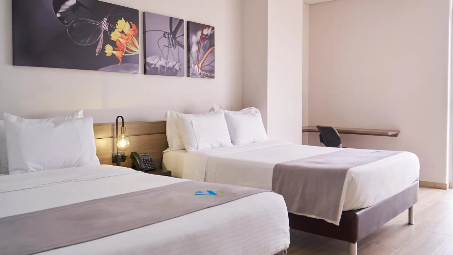 Hotel Vivre Medellín 3*,  Colombia